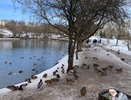 "Май подложит нам всем свинью": синоптики прогнозируют небывалое похолодание в 2025 году