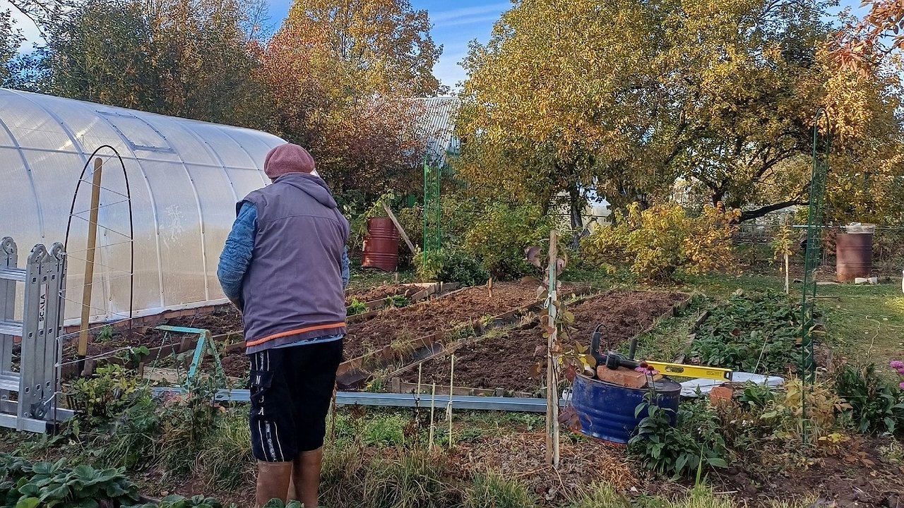 Главная картинка новости: С 10 апреля на теплицы вводится запрет: приняли решение для всех россиян, у кого есть дача или участок - новые штрафы