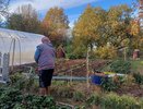 С 10 апреля на теплицы вводится запрет: приняли решение для всех россиян, у кого есть дача или участок - новые штрафы