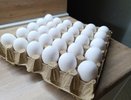 Куриные яйца не покупаю уже год: от этих 9 продуктов советуют отказаться ученые. А мы их едим каждый день и детям даем