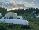 С 1 мая на теплицы вводится запрет: приняли решение для всех россиян, у кого есть дача или участок - новые штрафы