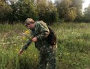 Клещи активизировались: за неделю в Кировской области пострадали 1509 человек