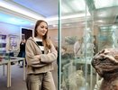 250 миллионов лет спустя: аномодонтов из Кировской области выставили в Татарстане