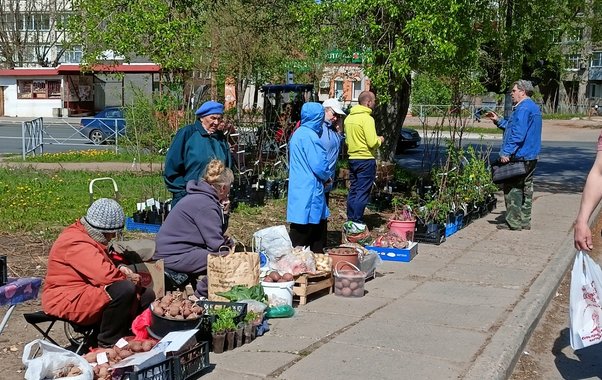 Ветеранам и инвалидам назначили дополнительные выплаты к 80-летию Победы
