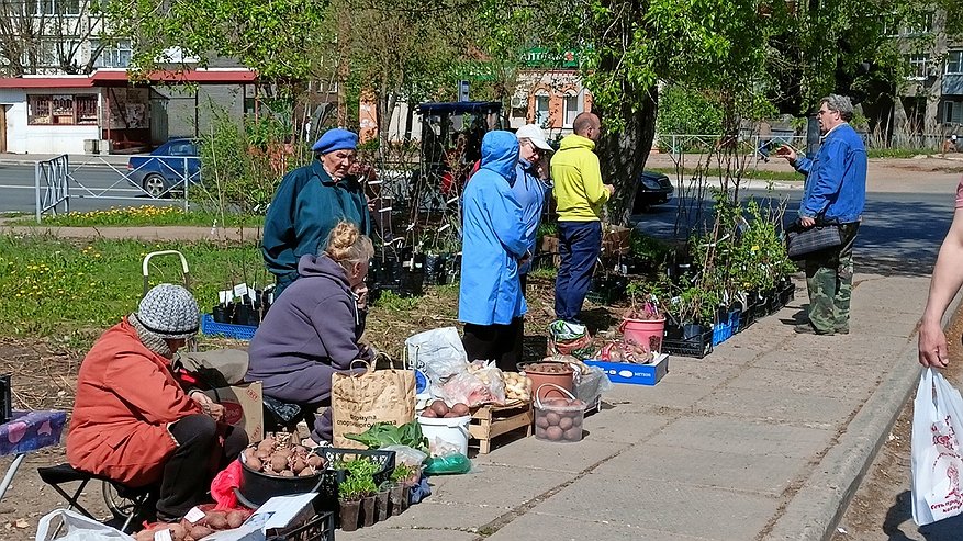 Главная картинка новости: Ветеранам и инвалидам назначили дополнительные выплаты к 80-летию Победы