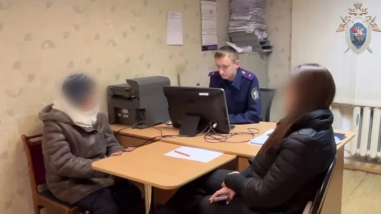 Главная картинка новости: В Кировской области многодетная мать задолжала 2,2 млн рублей по алиментам