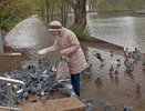Подписан новый указ. Пенсионеров, у которых есть стаж 20-25 лет, ждет сюрприз