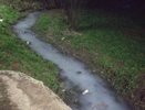 Министр взял на контроль: в Кирове расследуют сброс в водоем