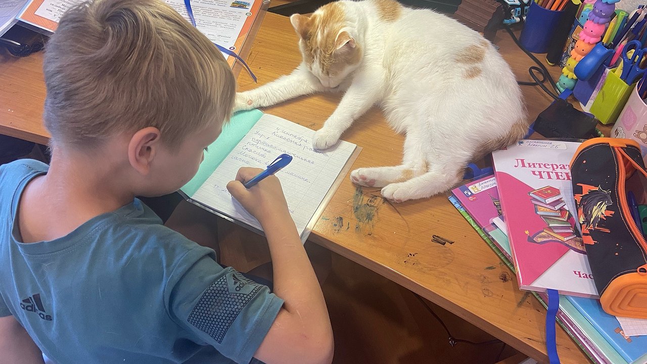 Главная картинка новости: Дети и родители схватятся за головы: с 1 сентября 2025 в школах вводится новое правило