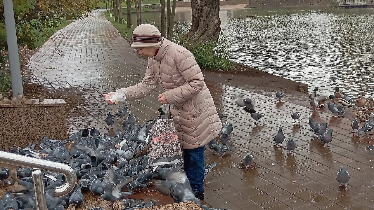 Главная картинка новости: Придется делиться: одиноких пенсионеров, живущих в двухкомнатной квартире, ждет сюрприз