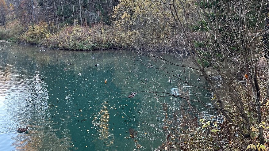 Главная картинка новости: Спасатели обнаружили тело в водоеме в Тужинском районе