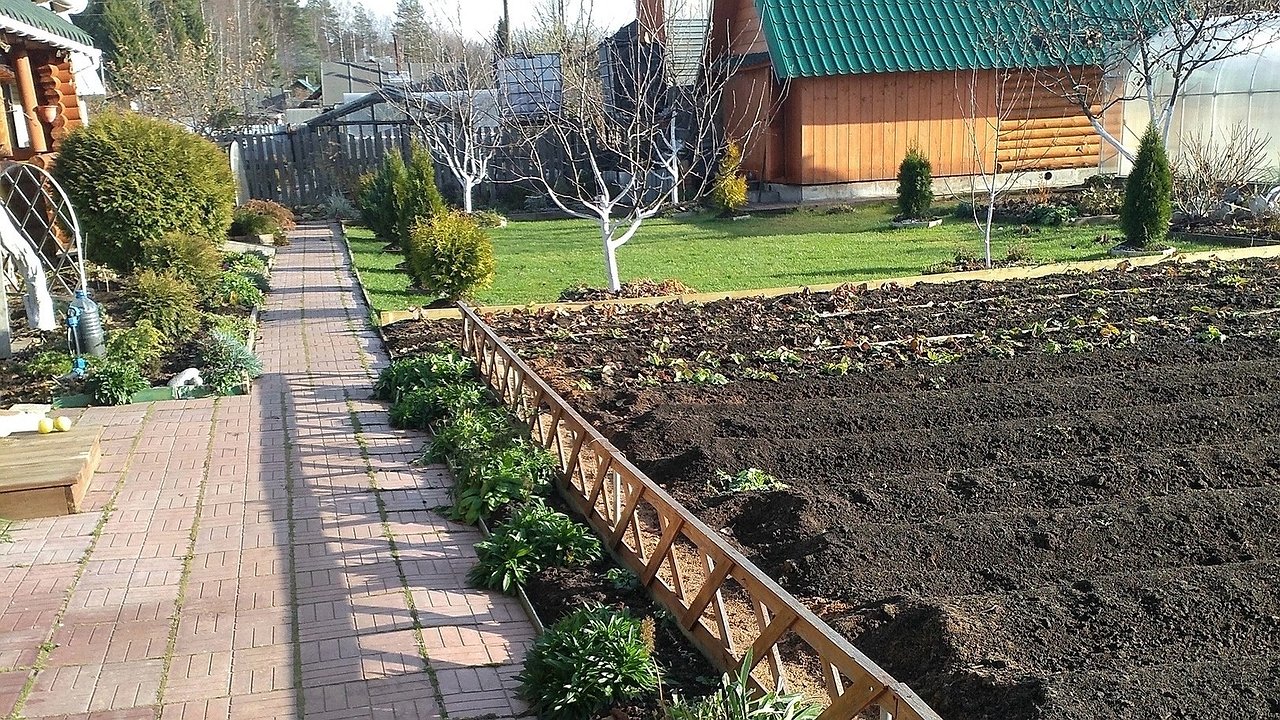 Главная картинка новости: Сорняки завянут все разом: разведите стакан на ведро и полейте вечером - не узнаете свой огород