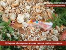Еще одну хлебную свалку обнаружили в Кировской области