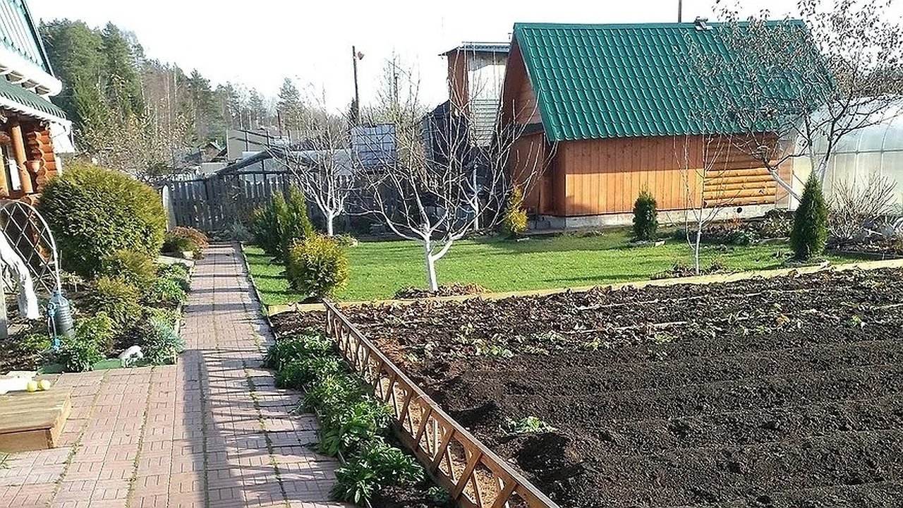 Главная картинка новости: Соседский гнев или штраф? С июня дачники попадают в правовую ловушку – с новыми законами о привычной свободе придется забыть