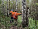 На трассе "Кирс – Белая Холуница" пропал без вести 23-летний мужчина
