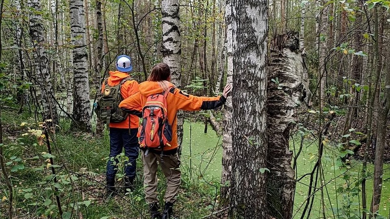 Главная картинка новости: На трассе "Кирс – Белая Холуница" пропал без вести 23-летний мужчина