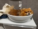 Более 40 домов в Кирове останутся без воды в ночь на 2 июня