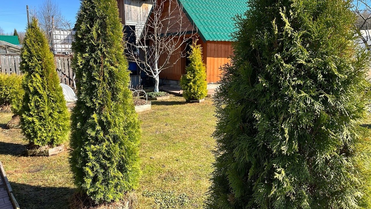 Главная картинка новости: Жесткие штрафы и до 5 лет тюрьмы грозит дачникам за «захват» чужой земли: новые правила и законы