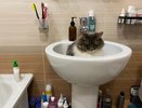 Водоснабжение временно перекрыли для жителей двух районов Кирова