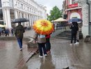 Такого тепла уже не будет, вместо него заморозки до -2 и дожди: Гидрометцентр изменил прогноз на весь июнь 2025