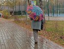 Приближается самый холодный день: Вильфанд обещает — ливни и заморозки обрушатся на россиян с 12 июня