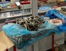 В одном из магазинов в Кировской области торговали мясом и рыбой неизвестного происхождения