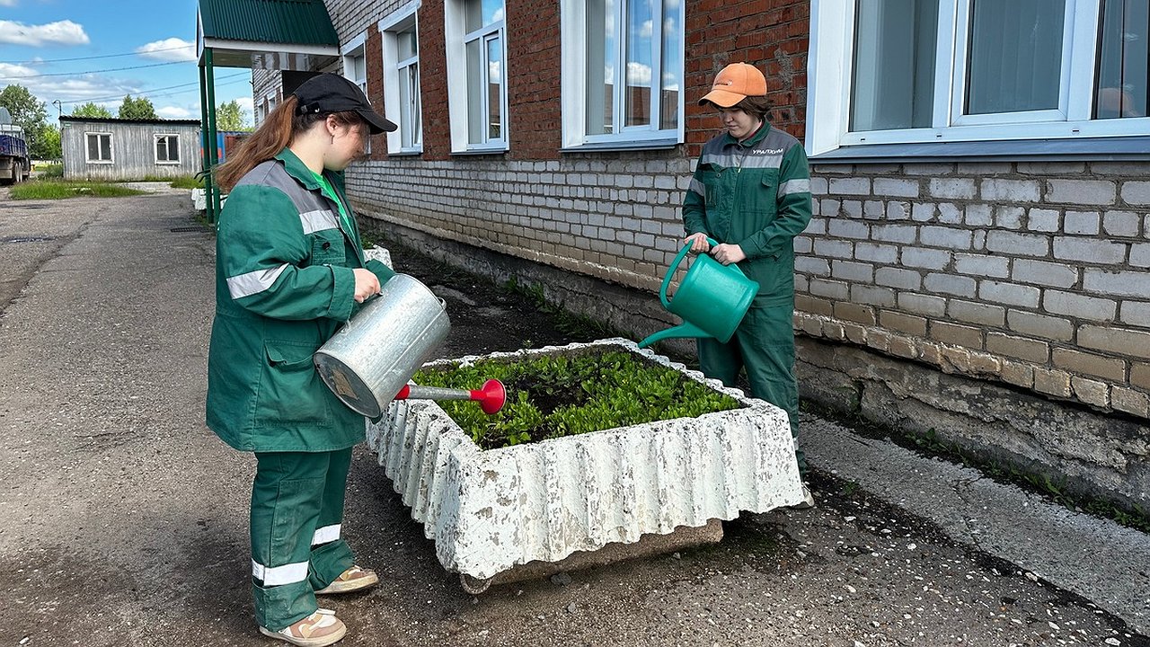 Главная картинка новости: В филиале «КЧХК» реализуется проект «Трудовое лето»