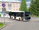 В Кирове водитель автобуса №16 сбил женщину-пешехода
