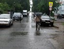 В Кировской области прогнозируются грозы и град