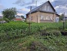 Как только начал цвести картофель — тут же сыплю под корень: 20 кустов выдают урожай на всю зиму