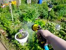 Лунный календарь огородника на 12 и 13 июля 2025 года: что нужно сделать на участке в выходные, чтобы увеличить урожайность