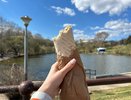 В центре Кирова готовили шаурму сомнительного качества