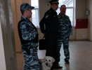 В Кирове служебная собака помогла полицейским найти злоумышленника, вынесшего из магазина две бутылки водки