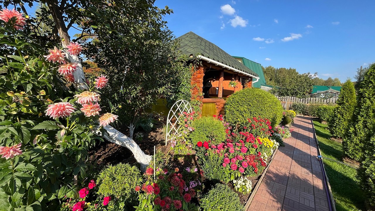 Главная картинка новости: С 1 августа без согласия соседа на своём участке будет строго запрещено: строгие правила для всех, у кого есть дача или участок