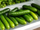 Огурцы будут лежать и не портиться в холодильнике месяц: вот как их хранят находчивые хозяйки