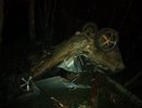 Бесправник на ВАЗе съехал с дороги и перевернулся в Верхошижемском районе