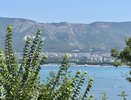 МегаФон обнулит трафик на сайт аэропорта Геленджика