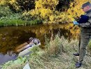 В Кировской области "Ока" упала в реку: виновник бросил умирать пассажирку