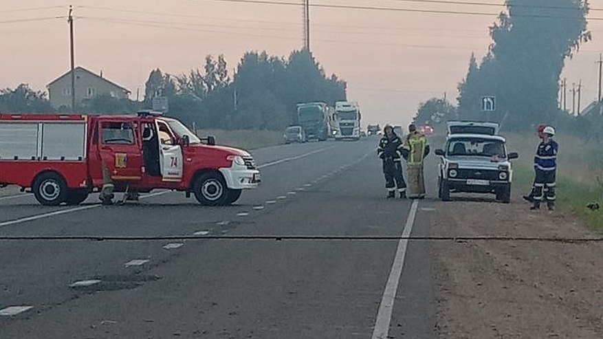 Главная картинка новости: Возле слободы Варсеги произошла авария на высоковольтной линии