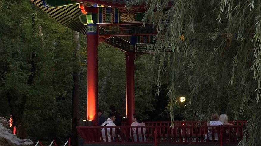 Главная картинка новости: Что японцы считают нормой, а русские — невежливостью: культурные различия, которые удивляют