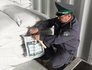 Кировская область отправила 18,5 тонн спичечной соломки в Индию