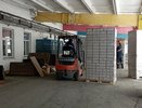 Кировская область экспортировала 295 тысяч березовых черенков в Киргизию и Таджикистан