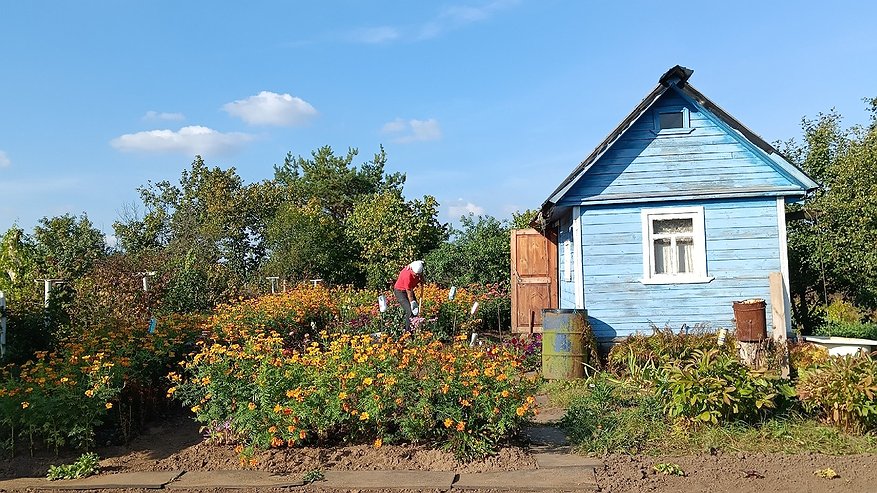 Главная картинка новости: Защищаю дачу от воров старинным способом чабанов. Простой трюк с замком отпугивает лучше любой сигнализации