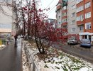 Зима наступит быстро: синоптики назвали даты выпадения первого снега - прогнозы по регионам