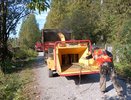На кировских кладбищах началась масштабная уборка аварийных деревьев