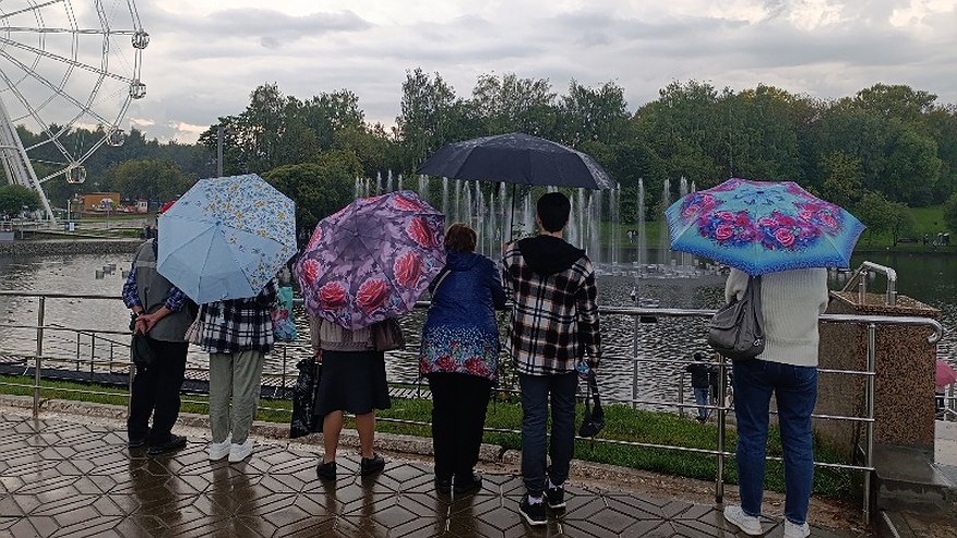 Главная картинка новости: В выходные в Кировской области могут ударить заморозки