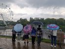 Начало сентября 2025 года в Кировской области будет дождливым