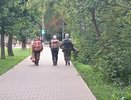 Первые заморозки, дополнительный выходной в декабре, обустройство дендропарка и изменения с сентября: что обсуждали кировчане 29 августа