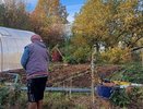 Не сажайте озимый чеснок на эти грядки — останетесь без урожая