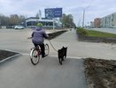 Стало известно, какая погода будет в Кировской области в сентябре